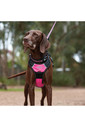 2022 Weatherbeeta Reflective Dog Lead 1003619 - Black / Pink